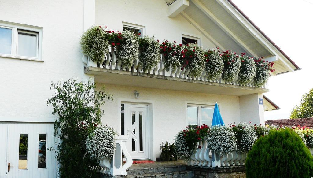Ranch Terra Hotel Irinovac Luaran gambar