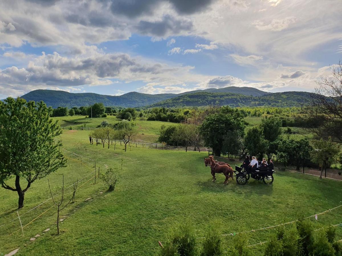 Ranch Terra Hotel Irinovac Luaran gambar