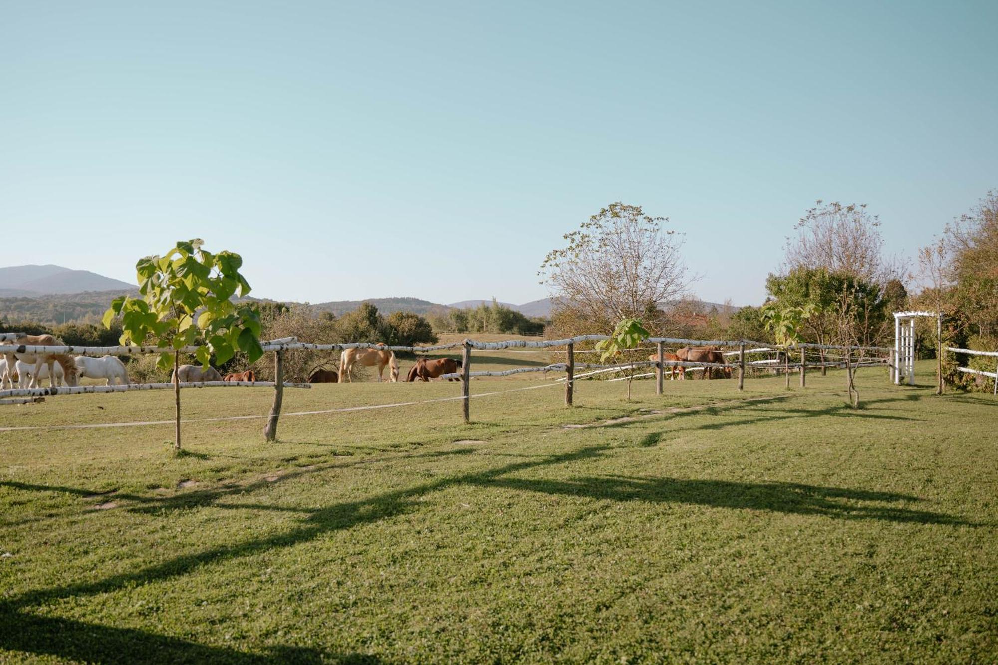 Ranch Terra Hotel Irinovac Luaran gambar