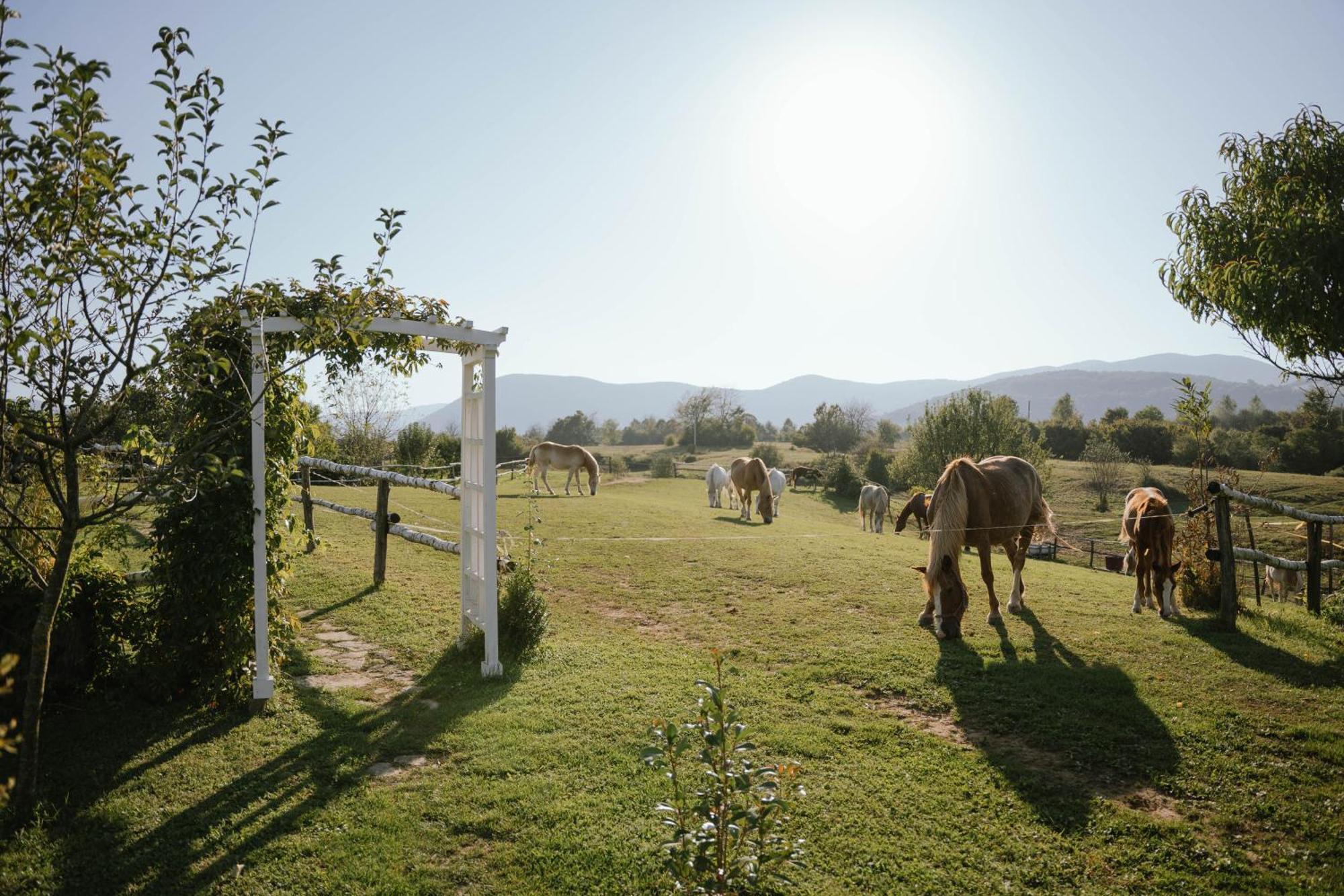 Ranch Terra Hotel Irinovac Luaran gambar