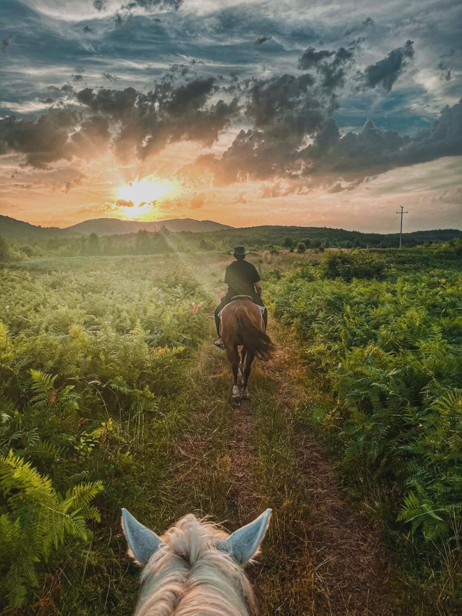 Ranch Terra Hotel Irinovac Luaran gambar