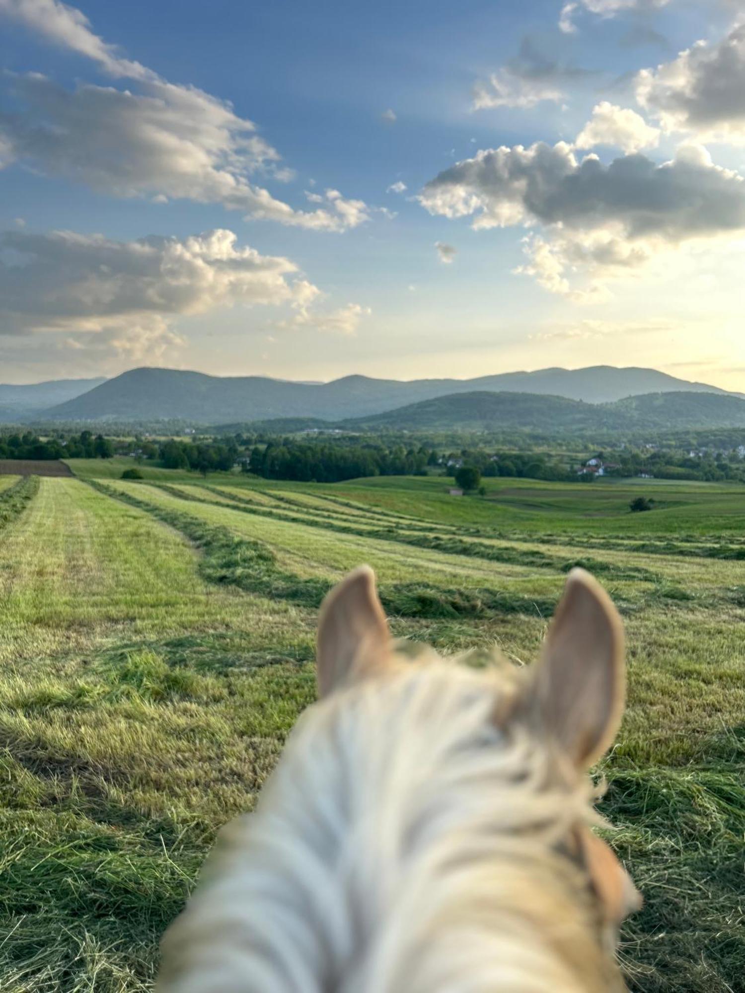 Ranch Terra Hotel Irinovac Luaran gambar
