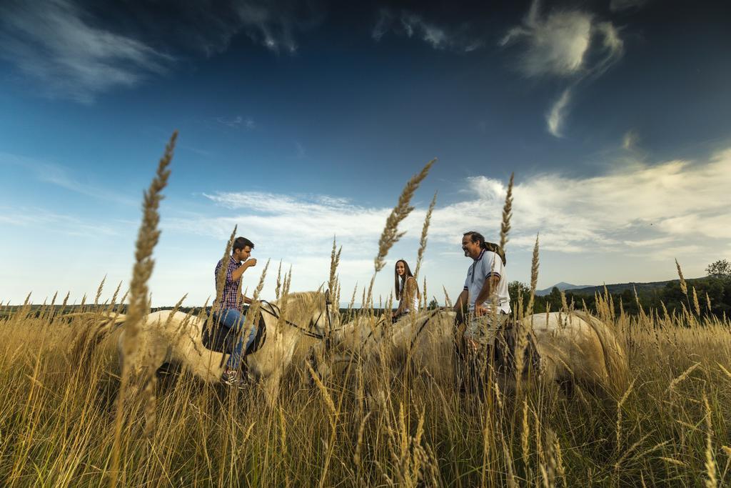 Ranch Terra Hotel Irinovac Luaran gambar