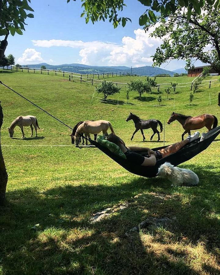 Ranch Terra Hotel Irinovac Luaran gambar