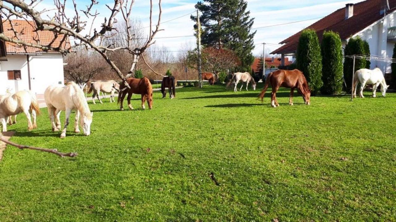 Ranch Terra Hotel Irinovac Luaran gambar