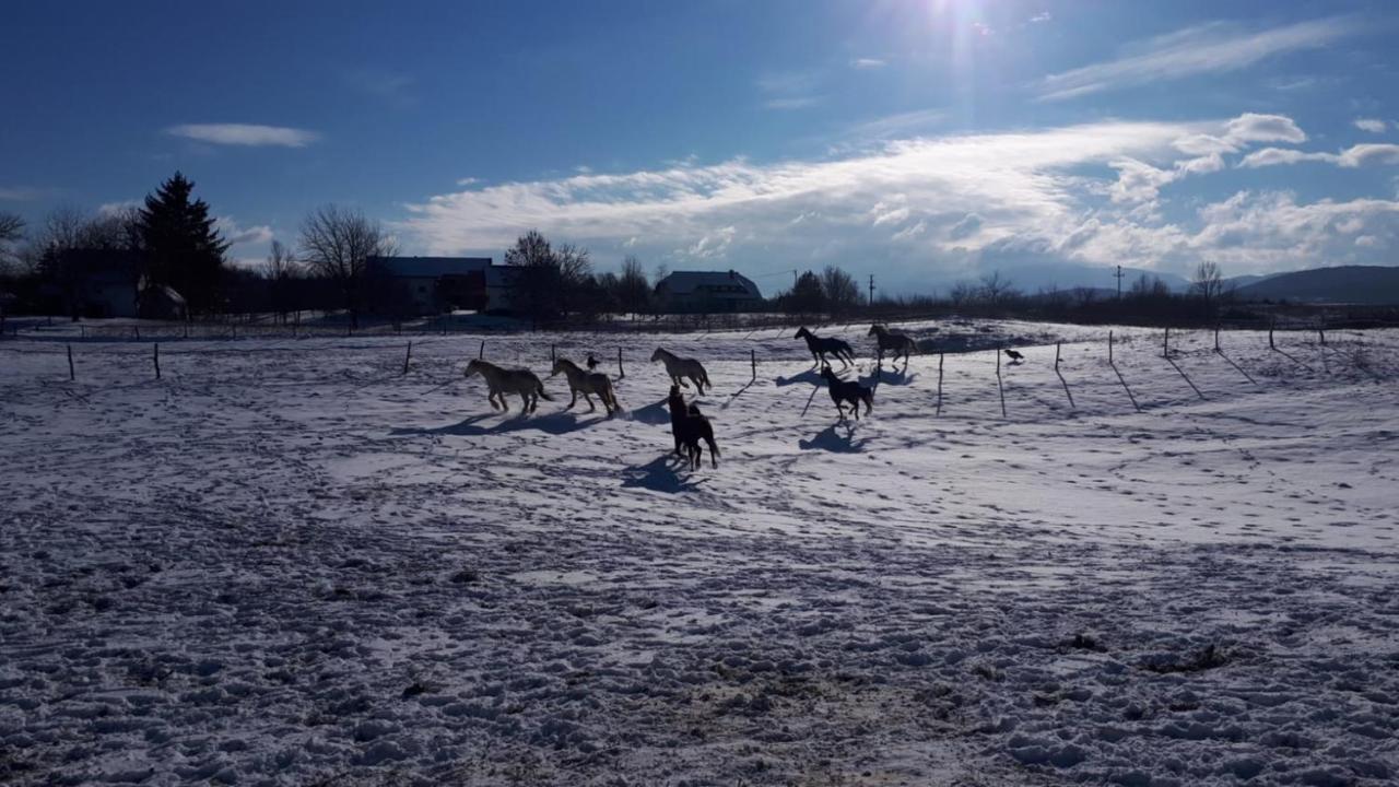 Ranch Terra Hotel Irinovac Luaran gambar