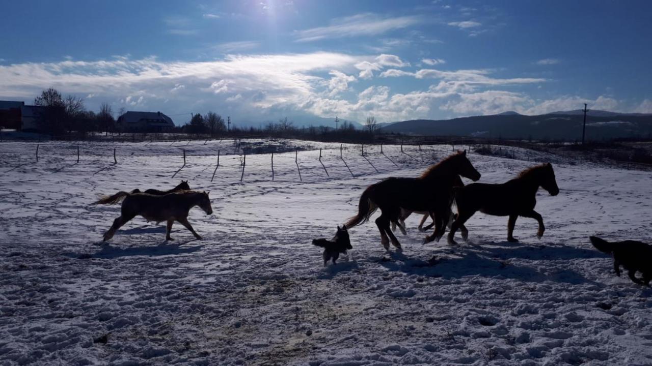 Ranch Terra Hotel Irinovac Luaran gambar