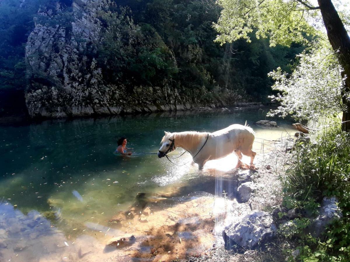 Ranch Terra Hotel Irinovac Luaran gambar
