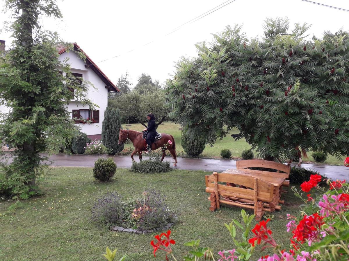 Ranch Terra Hotel Irinovac Luaran gambar